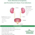 Easy@Home 10 Individual Pouch Urinary Tract Infection FSA Eligible Test Strips, UTI Urine Testing Kit for Urinalysis and Detection of Leukocytes and Nitrites-FDA Cleared for OTC use (UTI-10P) by Easy Healthcare Corporation