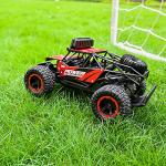 BEZGAR 17 Toy Grade 1:14 Scale Remote Control Car, 2WD High Speed 20 Km/h All Terrains Electric Toy Off Road RC Monster Vehicle Truck Crawler with Two Rechargeable Batteries for Boys Kids and Adults by BEZGAR