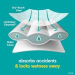 Pampers Easy Ups Training Pants Boys and Girls, 3T-4T (Size 5), 124 Count by Procter & Gamble