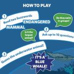 Skillmatics Card Game : Guess in 10 Underwater Animals | Easter Basket Stuffers for Ages 8 and Up | Super Fun for Travel & Family Game Night by Grasper Global Private Limited