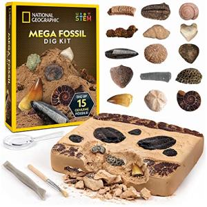 NATIONAL GEOGRAPHIC Mega Fossil Dig Kit â Excavate 15 Prehistoric Fossils Including Dinosaur Bones & Shark Teeth, Educational Toys, Great Gift for Girls and Boys, an AMAZON EXCLUSIVE Science Kit by Discover with Dr. Cool