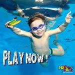 Novelty Place 8 Pack Torpedo Bandits Diving Toy Rockets - Swimming Pool Underwater Game for Kids and Adults - Shark Design 8 Colors from Novelty Place