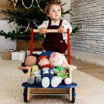 HABA Walker Wagon - First Push Toy with Seat & Storage for 10 Months and Up by HABA