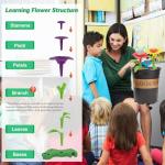 BIRANCO. Flower Garden Building Toys - Build a Bouquet Floral Arrangement Playset for Toddlers and Kids Gifts Age 3, 4, 5, 6 Year Old Girls, Educational STEM Toy (120 PCS) from TongShang