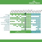 200 Pack Easy@Home 12 Panel Instant Drug Test Kits - Testing Marijuana (THC),COC, OPI 2000, AMP,BAR,BZO,MDMA,MET/mAMP, MTD, OXY,PCP,PPX-Urine Dip Drug Testing -#EDOAP-1124 from Easy@Home