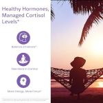 Soothe Thyroid Support and Adrenal Support Supplement - 2 in 1 Natural Formula to Support Energy, Metabolism, Adrenal Fatigue Response, Stress Response, and Cortisol Balance by WellPath Solutions