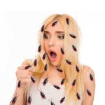 Ksquares Prank Fake Roaches, Favorite Trick Joke Toys Look Real, Scary Insects Realistic Plastic Bugs, Novelty Cockroach for Party, Christmas, Halloween from Ksquares