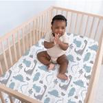 The Peanutshell Dinosaur Fitted Crib Sheet Set | 4 Pack in Blue & Grey by Farallon Brands