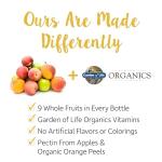 Garden of Life mykind Organics Kids Gummy Vitamins - Fruit - Certified Organic, Non-GMO & Vegan Complete Children's Multi - B12, C & D3 - Gluten, Soy & Dairy Free, 120 Real Fruit Chew Gummies from Garden of Life