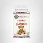 Garden of Life mykind Organics Kids Gummy Vitamins - Fruit - Certified Organic, Non-GMO & Vegan Complete Children's Multi - B12, C & D3 - Gluten, Soy & Dairy Free, 120 Real Fruit Chew Gummies from Garden of Life