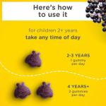 Zarbee's Naturals Children's Elderberry Immune Support with Vitamin C & Zinc, Natural Berry Flavor, 42 Gummies from Zarbee's Naturals