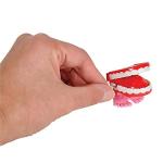 The Dreidel Company Wind Up Teeth Chomping & Chattering Teeth Toys for Kids Birthday Party Favors, Novelty and Gag Gifts, 1.75" Inches (2-Pack) from The Dreidel Company