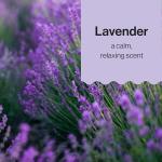 The Honest Company Truly Calming Lavender Shampoo + Body Wash, Tear Free Baby Shampoo + Body Wash, Naturally Derived Ingredients, Sulfate & Paraben Free Baby Wash, 10 Fl Oz from The Honest Company