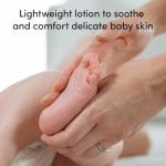 Evereden Baby Moisturizing Lotion: Fragrance Free, 8.5 fl oz. | Clean and Unscented Baby Care | Natural and Plant Based | Non-toxic and Fragrance Free by Evereden