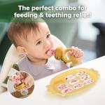 Haakaa Baby Fruit Food Feeder & Silicone Nibble Tray Combo - Breastmilk Popsicle Mold for Teething, Silicone Pacifier Feeder and Teether for Baby Teething & Infant Self Feeding by haakaa