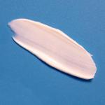 Desitin Daily Defense Baby Diaper Rash Cream with 13% Zinc Oxide Barrier Cream to Treat, Relieve & Prevent Diaper Rash, Hypoallergenic, Dye-, Phthalate- & Paraben-Free, Travel Size, 2 oz by Johnson & Johnson SLC