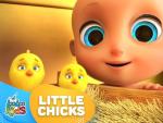 Little Chicks by 