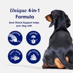 Petlab Co. Anal Gland Support â Target Scooting & Fishy Odor - Supports Anal Gland Health While Helping to Optimize Stool Consistency - Easy to Use Powder from PetLab Co.