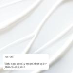 Evereden Nourishing Baby Face Cream, 1.7 oz | Clean and Unscented Baby Care | Natural and Plant Based | Non-toxic and Fragrance Free from Evereden