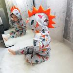 Toddler Infant Baby Boy Clothes Colored Dinosaurs Long Sleeve Hoodie Tops Sweatsuit Pants Outfit Set (6-9 Months) from 