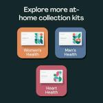 Everlywell Testosterone Test - at-Home Collection Kit - Accurate Results from a CLIA-Certified Lab Within Days - Ages 18+ (Not Available in NY, NJ, RI) by Everly Well