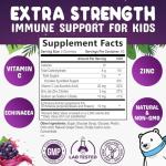 Kids Immune Support Gummies with Vitamin C, Echinacea and Zinc - Children's Support & Vitamin C Gummy, Tasty Natural Fruit Flavor, Vegan by Nature's Nutrition - 120 Gummy Bears from Nature's Nutrition