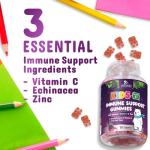 Kids Immune Support Gummies with Vitamin C, Echinacea and Zinc - Children's Support & Vitamin C Gummy, Tasty Natural Fruit Flavor, Vegan by Nature's Nutrition - 120 Gummy Bears from Nature's Nutrition