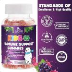 Kids Immune Support Gummies with Vitamin C, Echinacea and Zinc - Children's Support & Vitamin C Gummy, Tasty Natural Fruit Flavor, Vegan by Nature's Nutrition - 120 Gummy Bears from Nature's Nutrition