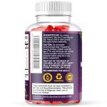 Kids Immune Support Gummies with Vitamin C, Echinacea and Zinc - Children's Support & Vitamin C Gummy, Tasty Natural Fruit Flavor, Vegan by Nature's Nutrition - 120 Gummy Bears from Nature's Nutrition