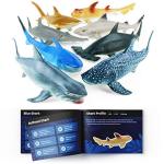 Boley Shark Toys - 8 Pack 10" Long Soft Plastic Realistic Shark Toy Set - Toddler Sensory Toys and Birthday Party Favors for Kids from Boley