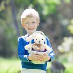 Easter Eggs Bunny Stuffed Animal Plush Toys, 8" Large Surprise Eggs Filled with 13.5" Easter Bunny Rabbit Gifts for Kids Boys Girls Easter Eggs Hunt Party Favor, Basket Stuffers Filler, Easter Event from CAMIRUS