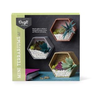 Craft Crush â Mini Terrariums Craft Kit â Make 3 Geometric Terrariums with Colorful Felt Succulents â Creative Arts & Crafts Gift for Kids, Teens & Adults by Ann Williams Group