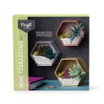 Craft Crush â Mini Terrariums Craft Kit â Make 3 Geometric Terrariums with Colorful Felt Succulents â Creative Arts & Crafts Gift for Kids, Teens & Adults by Ann Williams Group