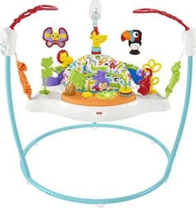 Fisher-Price Animal Activity Jumperoo, Blue, One Size from Fisher-Price