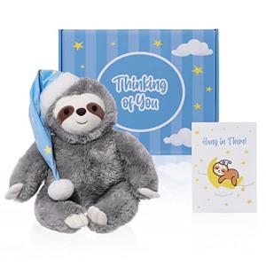 The Thoughtful Sloth Plush Stuffed Animal, Sick Care Package, Feel Better, Soft and Cuddly Snuggle Toys, Get Well Soon Gift Box for Boys, Girls, Kids, Women, Men, Teens, Friend Encouragement, 16" from Warren Distribution Co.
