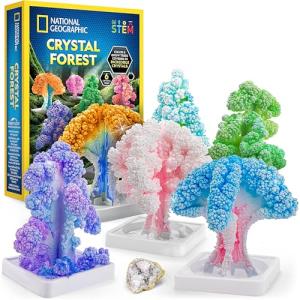 NATIONAL GEOGRAPHIC Craft Kits for Kids - Crystal Growing Kit, Grow 6 Crystal Trees in Just 6 Hours, Educational Craft Kit with Art Supplies, Geode Specimen & STEM Learning Guide, Arts & Crafts Kit by JMW Sales, Inc.