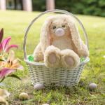 Vermont Teddy Bear Stuffed Bunnies â Bunny Stuffed Animals, Oh So Soft, 18 inch by Vermont Teddy Bear