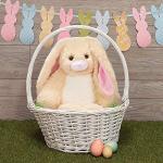 Vermont Teddy Bear Stuffed Bunnies â Bunny Stuffed Animals, Oh So Soft, 18 inch by Vermont Teddy Bear