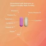 Theralogix ConceptionXR Motility Support Male Fertility Supplements with Antioxidants and L-Carnitine | 30 Day Supply from Theralogix