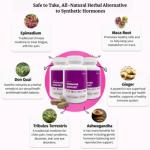 GleeFull Over 30 Hormone Support - Menopause Supplements for Women - Hormone Balance for Women - Hot Flash Relief - Menopause Support by GleeFull SUPlLEMENTS