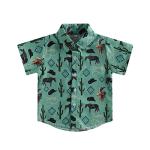 Western Baby Boy Clothes Button Down Short Sleeve Shirts Country Cowboy Dress Shirt Tops Summer Vintage Clothes (Green, 2-3 Years) from DNOMAID YZARC