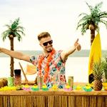 24 Pcs Summer Hawaii Beach Rubber Duckies Float Bathtub Ducky Swimming Pool Toys Summer Theme Novelty Funny Squeeze Ducks for Kids Birthday Party Favors Prize Rewards Baby Shower Bath Toys Decoration by Deekin