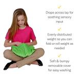 Fun and Function Sensory Vibrating Lap Pad - 4.5 lb Weighted Vibrating Pillow - Sensory Pillow for Calming Weight & Soothing Vibration - Weighted Lap Pad for Kids & Adults with Sensory Needs by Fun and Function