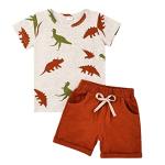 Bekarsy 18 to 24 Month Boy Clothes Summer Outfits Toddler Boy Dinosaur Short Sleeve T-Shirt & Shorts Clothing Set, Brown Dinosaur Set 18-24M/80cm by 