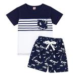 18-24 Month Boy Clothes Summer Outfits Baby Boy Dinosaur Short Sleeve T-Shirt & Shorts Set, Blue Dinosaur Set 18-24M/80cm by 