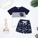 18-24 Month Boy Clothes Summer Outfits Baby Boy Dinosaur Short Sleeve T-Shirt & Shorts Set, Blue Dinosaur Set 18-24M/80cm by 