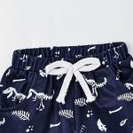 18-24 Month Boy Clothes Summer Outfits Baby Boy Dinosaur Short Sleeve T-Shirt & Shorts Set, Blue Dinosaur Set 18-24M/80cm by 