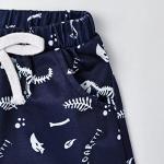 18-24 Month Boy Clothes Summer Outfits Baby Boy Dinosaur Short Sleeve T-Shirt & Shorts Set, Blue Dinosaur Set 18-24M/80cm by 