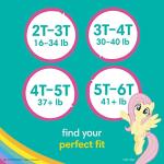 Pampers Easy Ups Training Pants Girls and Boys, 4T-5T, 100 Count, Enormous Pack from Procter & Gamble