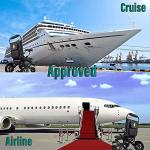 MALISA Electric Wheelchair for Adults, Foldable Lightweight All Terrain Wheelchairs, Limited Edition Power Motorized Electric Wheel Chair, Comfortable Leather Seat, Mobility Aid (Black, Black) by SHENZHEN CHITADO TECHNOLOGY CO LTD